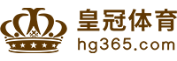Logo 博发棋牌体育